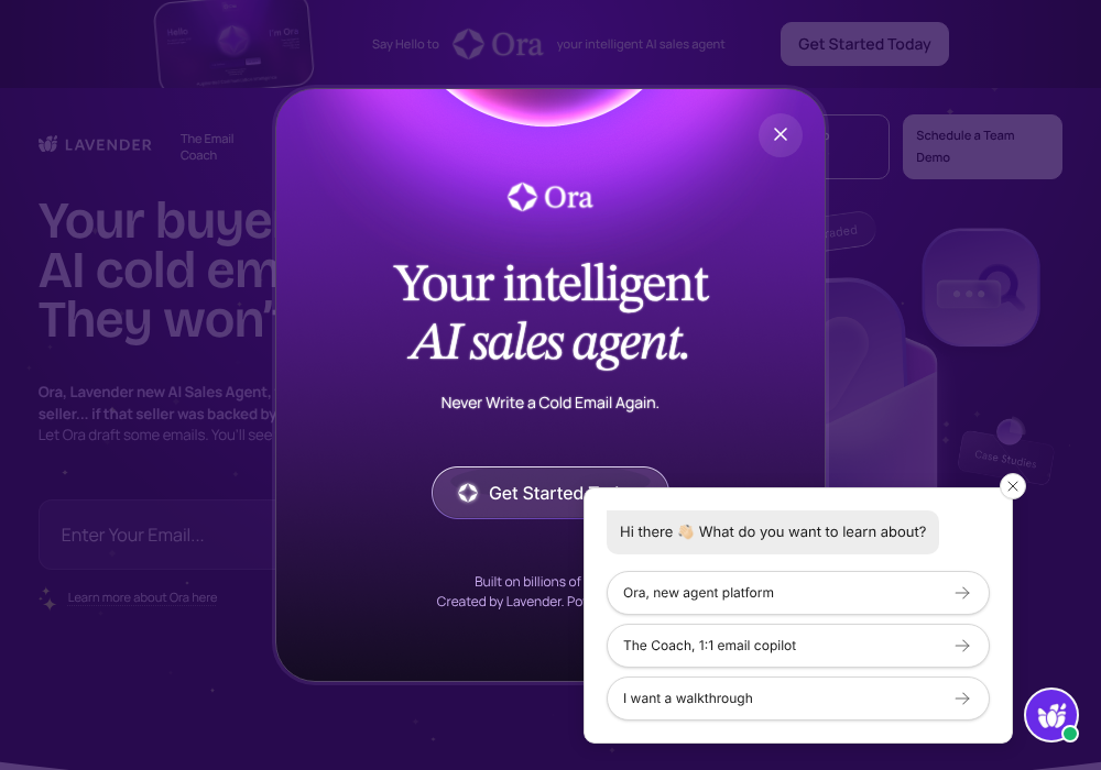 Lavender — [object Object],[object Object],[object Object],[object Object]